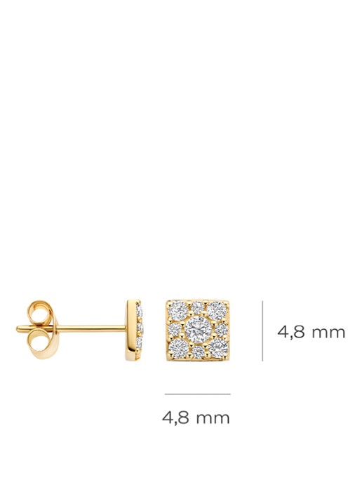 Blush Oorstekers van 14 karaat geelgoud met zirkonia7395YZI  - detail 2 undefined