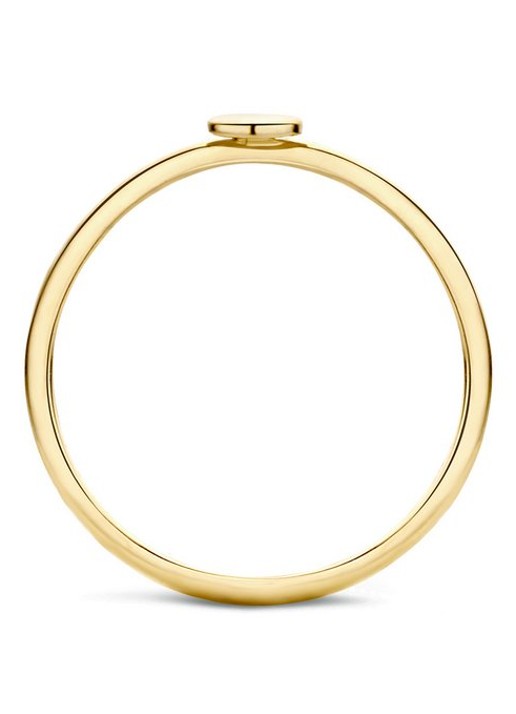 Blush Ring van 14 karaat geelgoud 1212YGO - detail goud