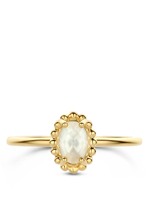 Blush Ring van 14 karaat geelgoud 1272YMQ  - detail goud