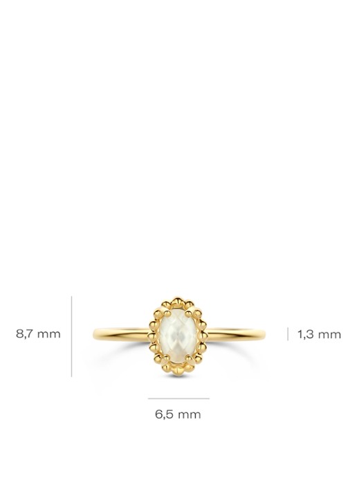 Blush Ring van 14 karaat geelgoud 1272YMQ  - detail 2 goud