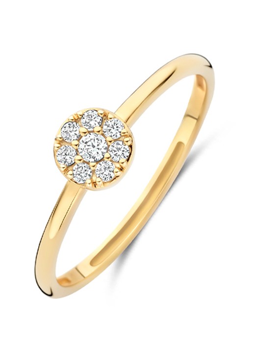 Blush Ring van 14 karaat geelgoud  1277YZI