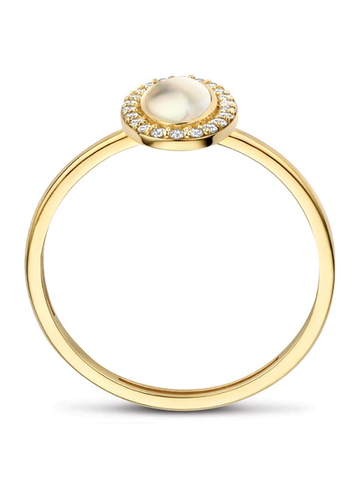 Blush Ring van 14 karaat geelgoud 1279YMQ - detail 4 undefined