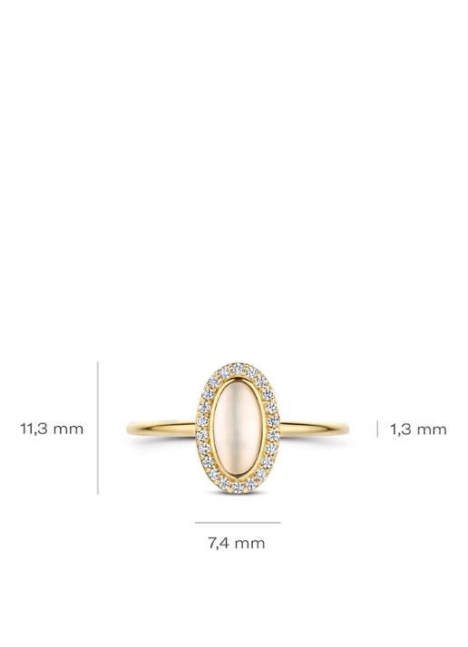 Blush Ring van 14 karaat geelgoud 1279YMQ - detail 5 undefined