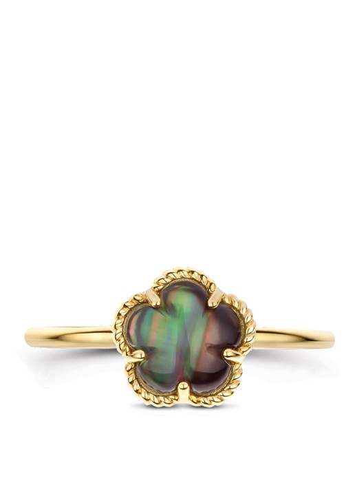 Blush Ring van 14 karaat geelgoud 1280YBQ - detail undefined
