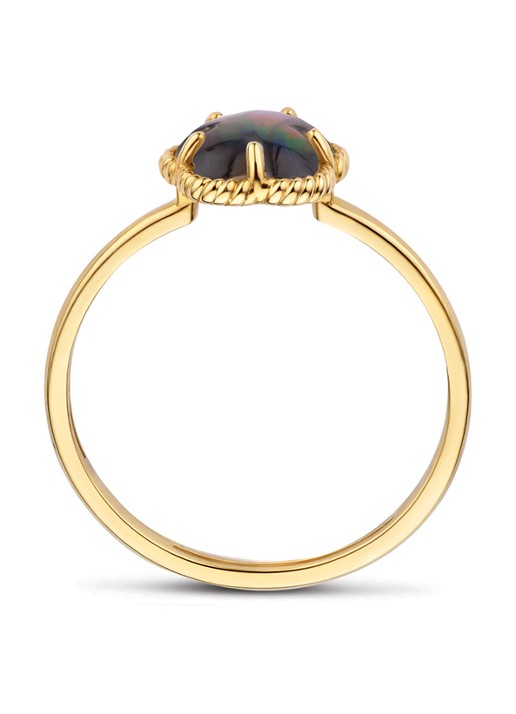 Blush Ring van 14 karaat geelgoud 1280YBQ - detail 2 undefined