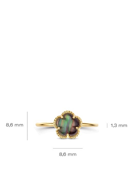 Blush Ring van 14 karaat geelgoud 1280YBQ - detail 3 undefined