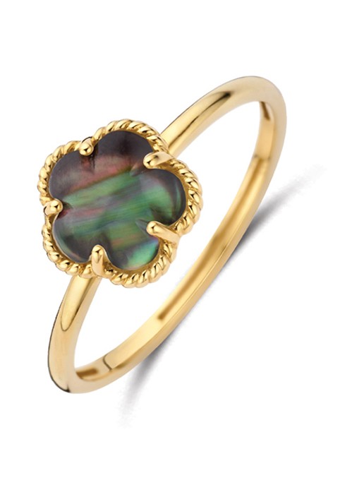 Blush Ring van 14 karaat geelgoud 1280YBQ