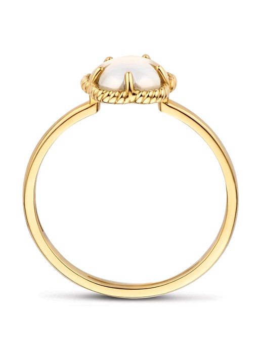 Blush Ring van 14 karaat geelgoud 1280YMQ  - detail 2 geelgoud