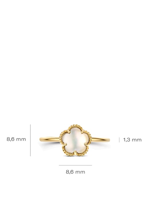 Blush Ring van 14 karaat geelgoud 1280YMQ  - detail 3 geelgoud