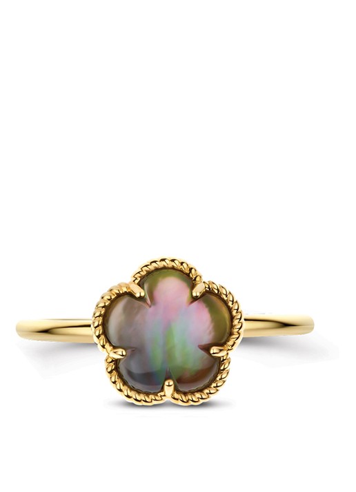 Blush Ring van 14 karaat geelgoud 1281YBQ  - detail 3 geelgoud