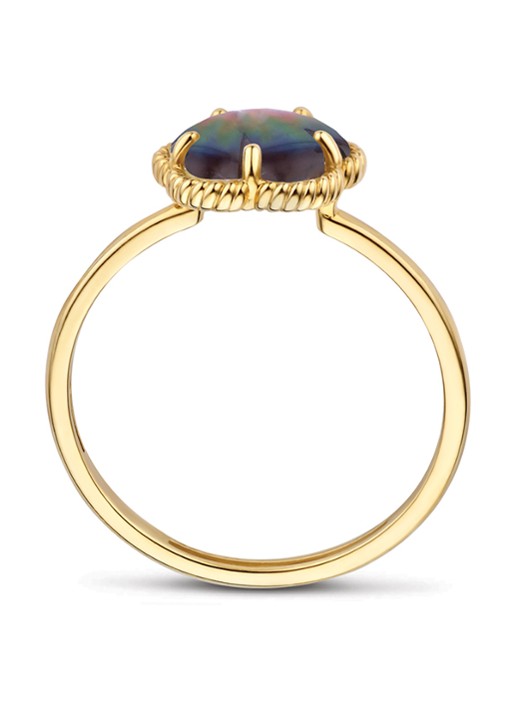 Blush Ring van 14 karaat geelgoud 1281YBQ  - detail 4 geelgoud