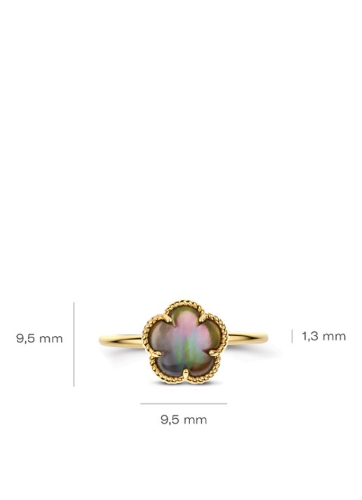 Blush Ring van 14 karaat geelgoud 1281YBQ  - detail 5 geelgoud