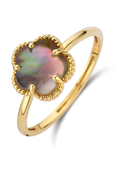 Blush Ring van 14 karaat geelgoud 1281YBQ  - voorkant geelgoud