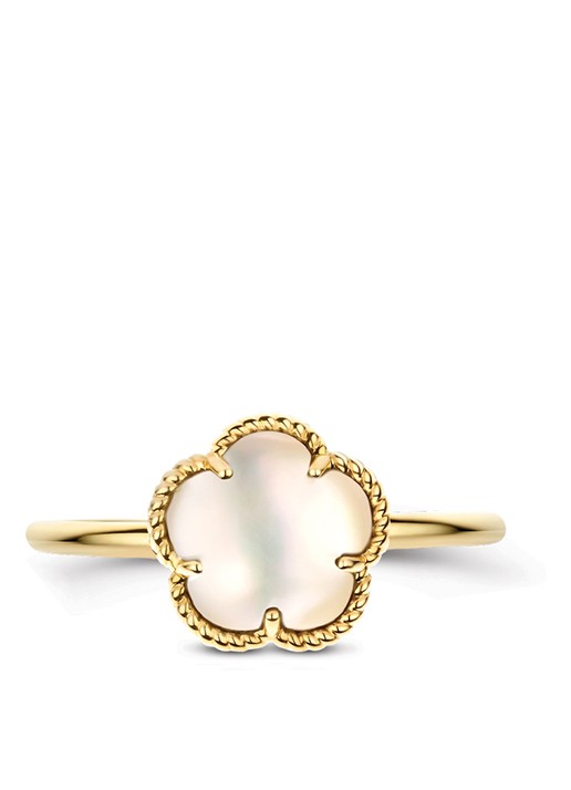 Blush Ring van 14 karaat geelgoud 1281YMQ - detail 3 geelgoud