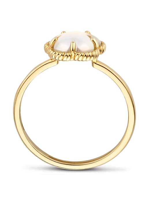 Blush Ring van 14 karaat geelgoud 1281YMQ - detail 4 geelgoud