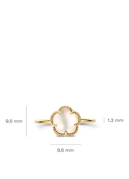 Blush Ring van 14 karaat geelgoud 1281YMQ - detail 5 geelgoud