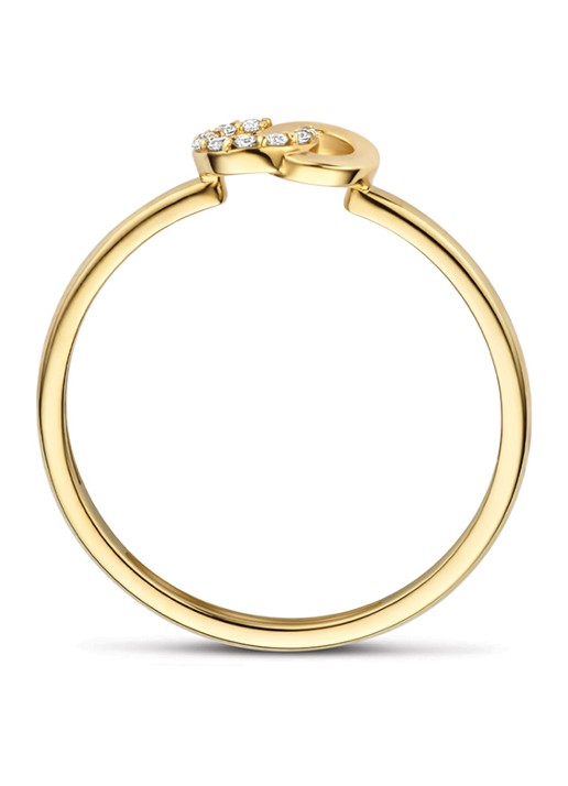 Blush Ring van 14 karaat geelgoud 1282YZI  - detail 2 geelgoud