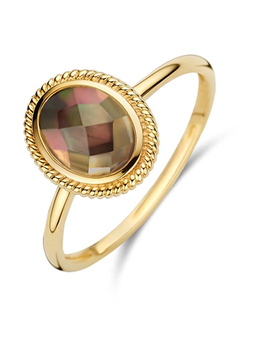 Blush Ring van 14 karaat geelgoud 1291YBQ