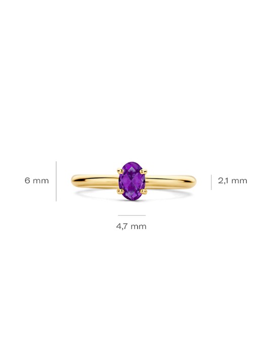 Blush Ring van 14 karaat geelgoud met amethist 1242YAM - detail 4 geelgoud