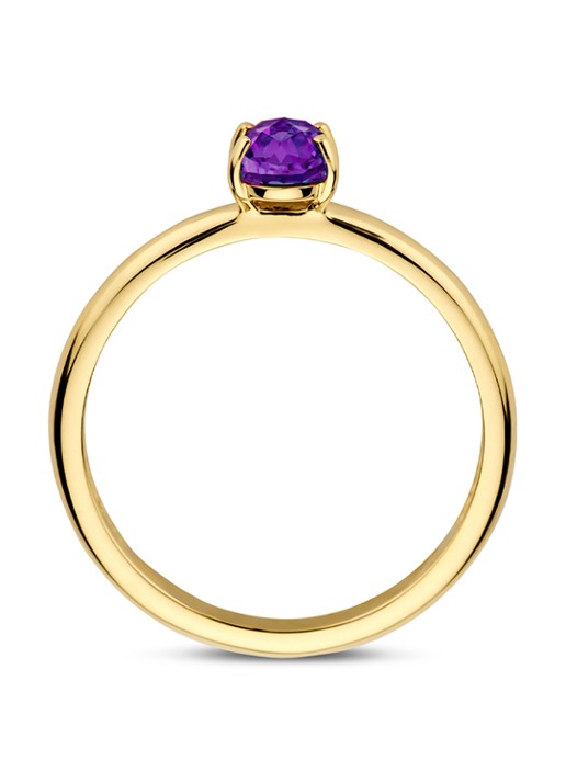 Blush Ring van 14 karaat geelgoud met amethist 1242YAM - voorkant 2 geelgoud