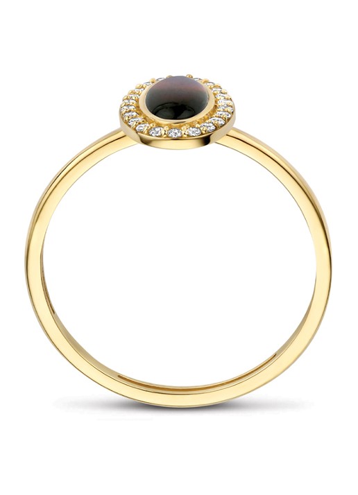 Blush Ring van 14 karaat geelgoud met zirkonia 1279YBQ  - detail geelgoud