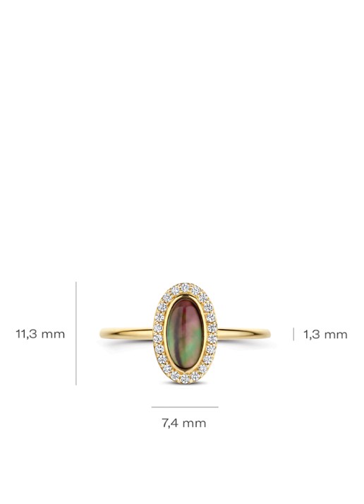Blush Ring van 14 karaat geelgoud met zirkonia 1279YBQ  - detail 2 geelgoud