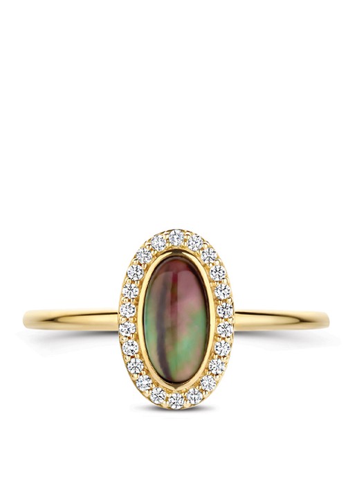Blush Ring van 14 karaat geelgoud met zirkonia 1279YBQ