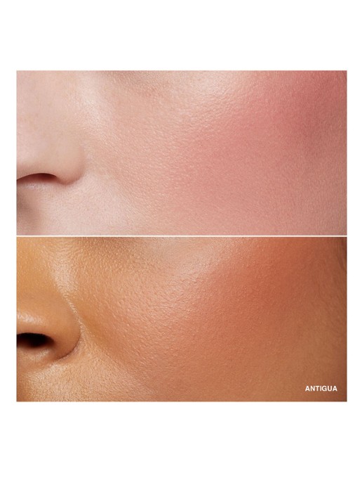 Bobbi Brown Blush - detail 3 antigua