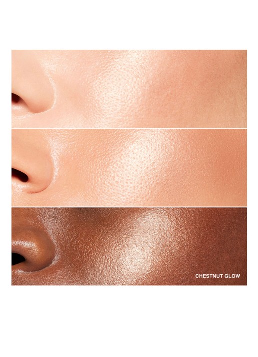 Bobbi Brown Highlighting Powder - highlighter - detail 5 chestnut glow