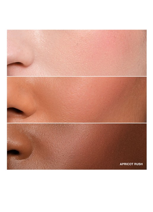 Bobbi Brown Pot Rouge Velvet Matte - 2-in-1 blush - detail 2 apricot rush