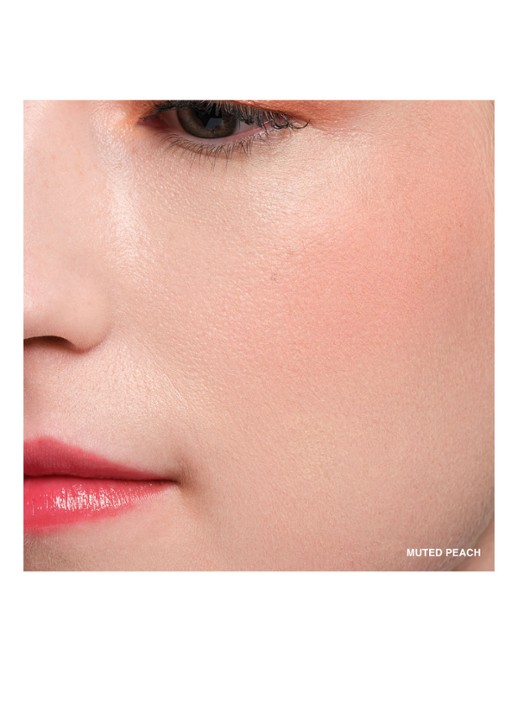 Bobbi Brown Pot Rouge Velvet Matte - 2-in-1 blush - detail 2 muted peach