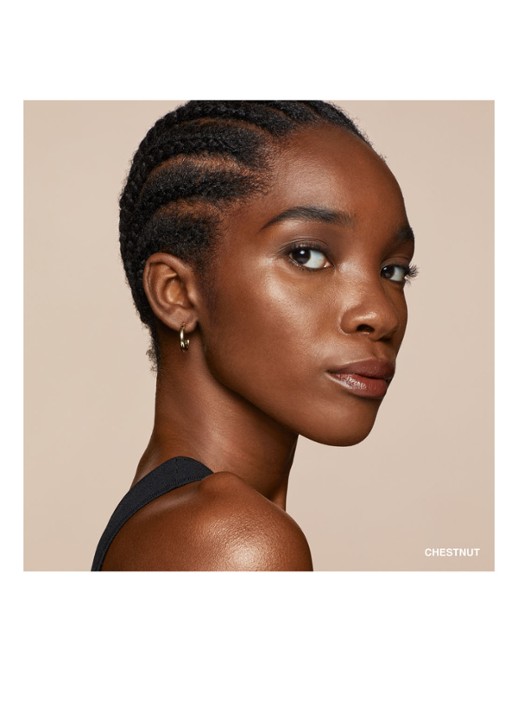 Bobbi Brown Skin Perfect Concealer Stick - detail 3 chestnut