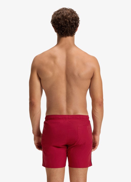 BOSS Iconic 10239741 01  100 - achterkant 4 steenrood