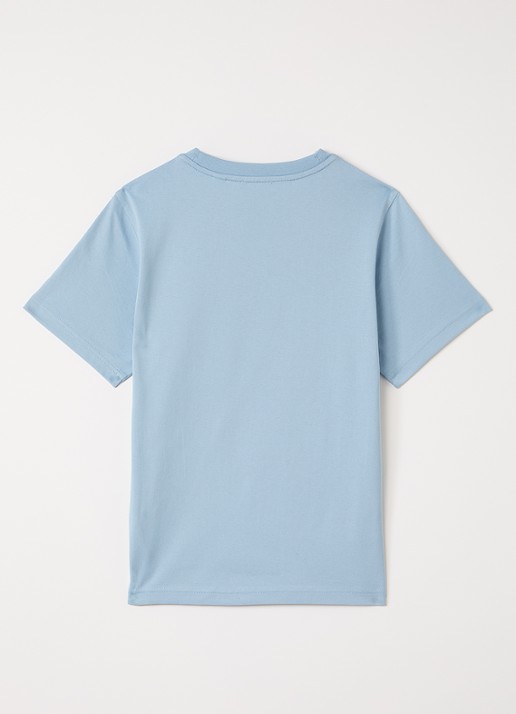 Burberry Cedar T-shirt met print - voorkant 2 lichtblauw