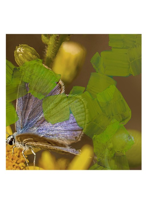 Byredo Animalique Eau de Parfum - detail 2 undefined