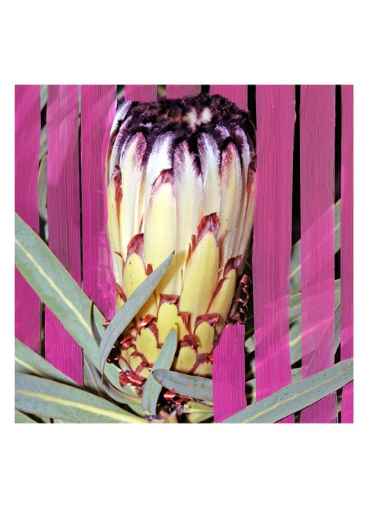 Byredo Inflorenscence Eau de Parfum - detail 5 undefined