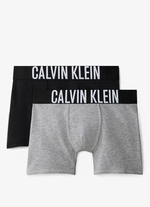 Calvin Klein Boxershorts met logoband in 2-pack