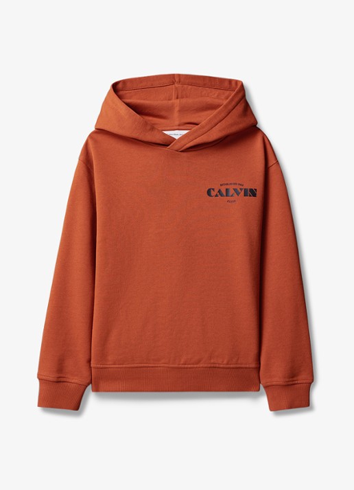 Calvin Klein Hoodie met logo