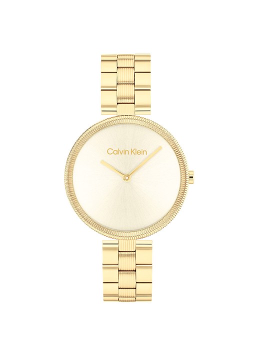 Calvin Klein Horloge CK25100014