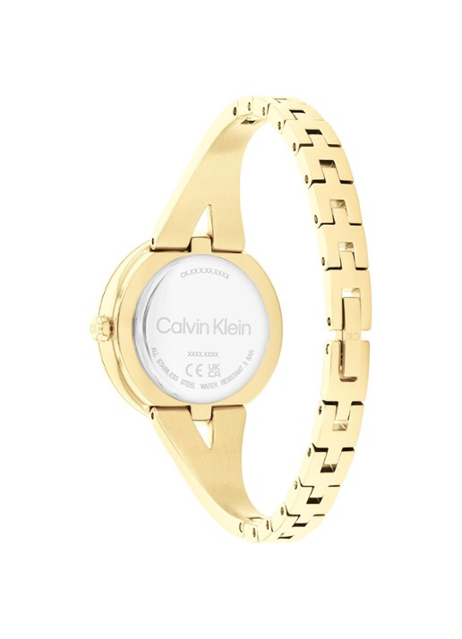 Calvin Klein Horloge CK25100027 - detail 3 goud