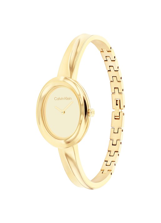 Calvin Klein Horloge CK25100056  - detail goud