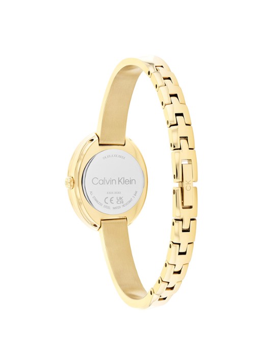 Calvin Klein Horloge CK25100056  - detail 2 goud