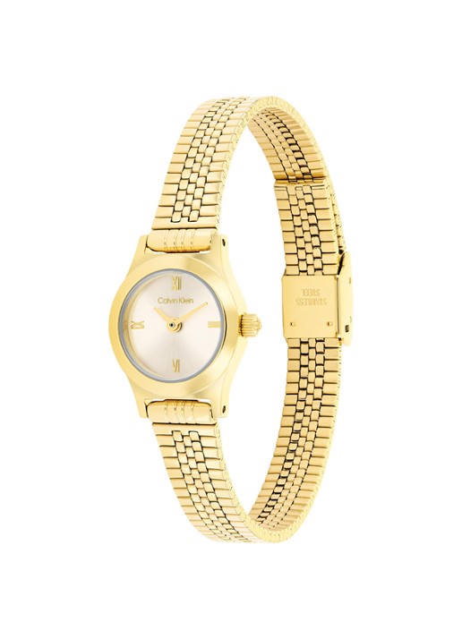 Calvin Klein Horloge CK25100201 - detail 3 goud