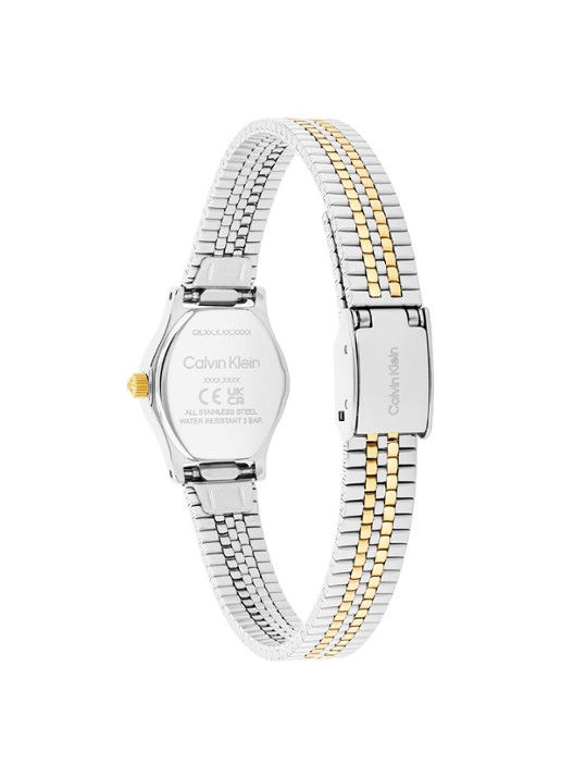 Calvin Klein Horloge CK25100207  - detail 4 zilver