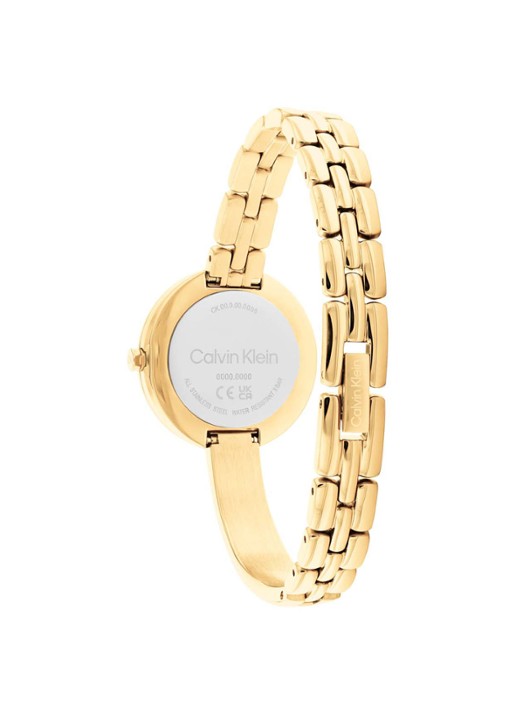 Calvin Klein Horloge CK25200279 - detail goud