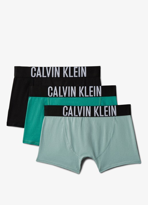 Calvin Klein Intense power boxer met logoband in 3-pack - achterkant 2 turquoise