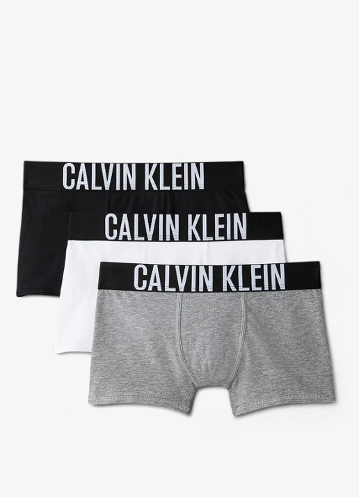 Calvin Klein Intense power boxer met logoband in 3-pack - voorkant grijs