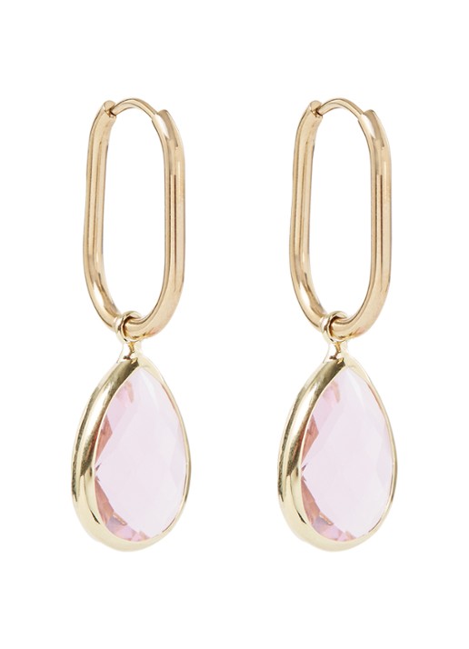 Camps & Camps Enchanting Crystal oorhangers verguld