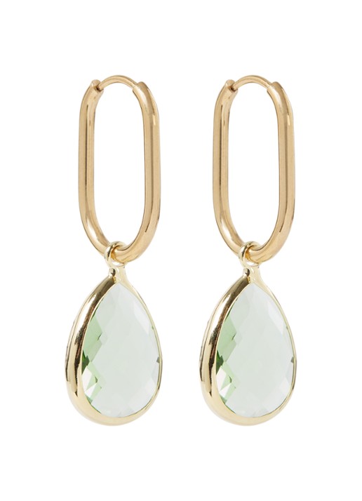 Camps & Camps Enchanting Crystal oorhangers verguld