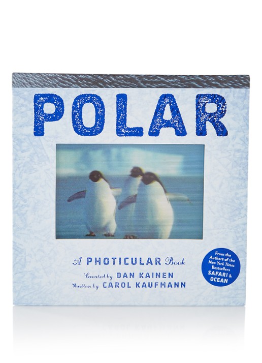 Carol Kaufman & Dan Kainen Polar: A Photicular Book